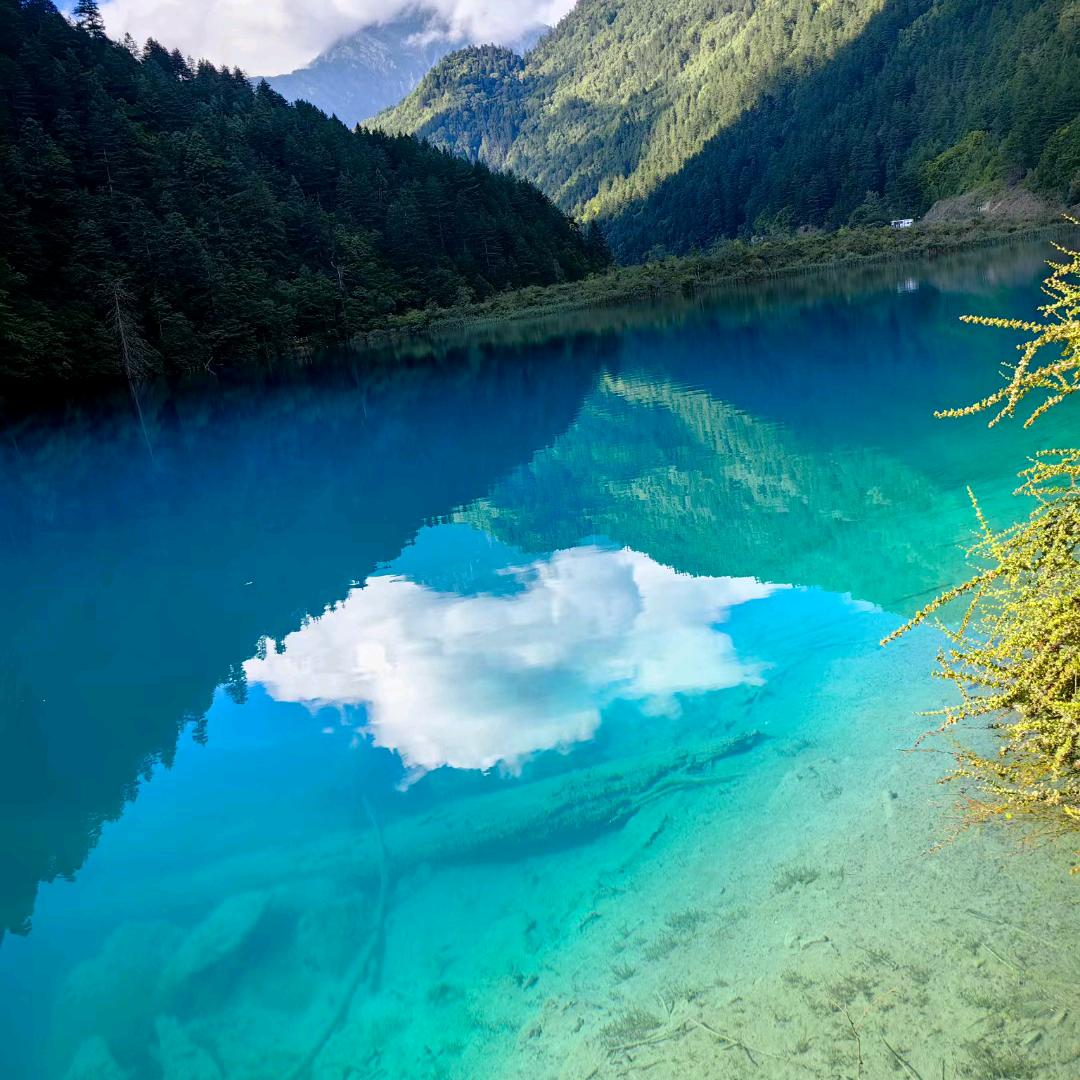 用户8474014417679一生平安