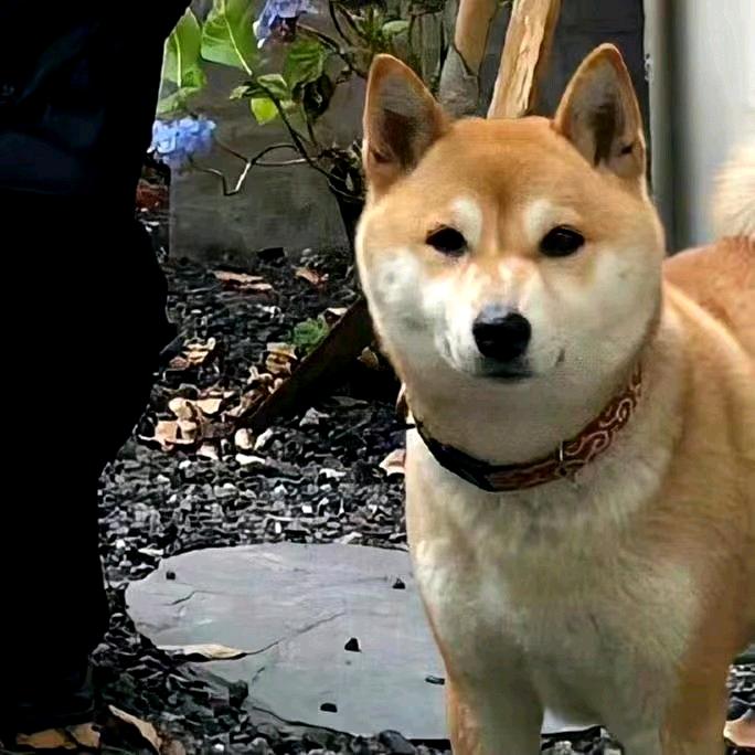 暖阳.🇨🇳