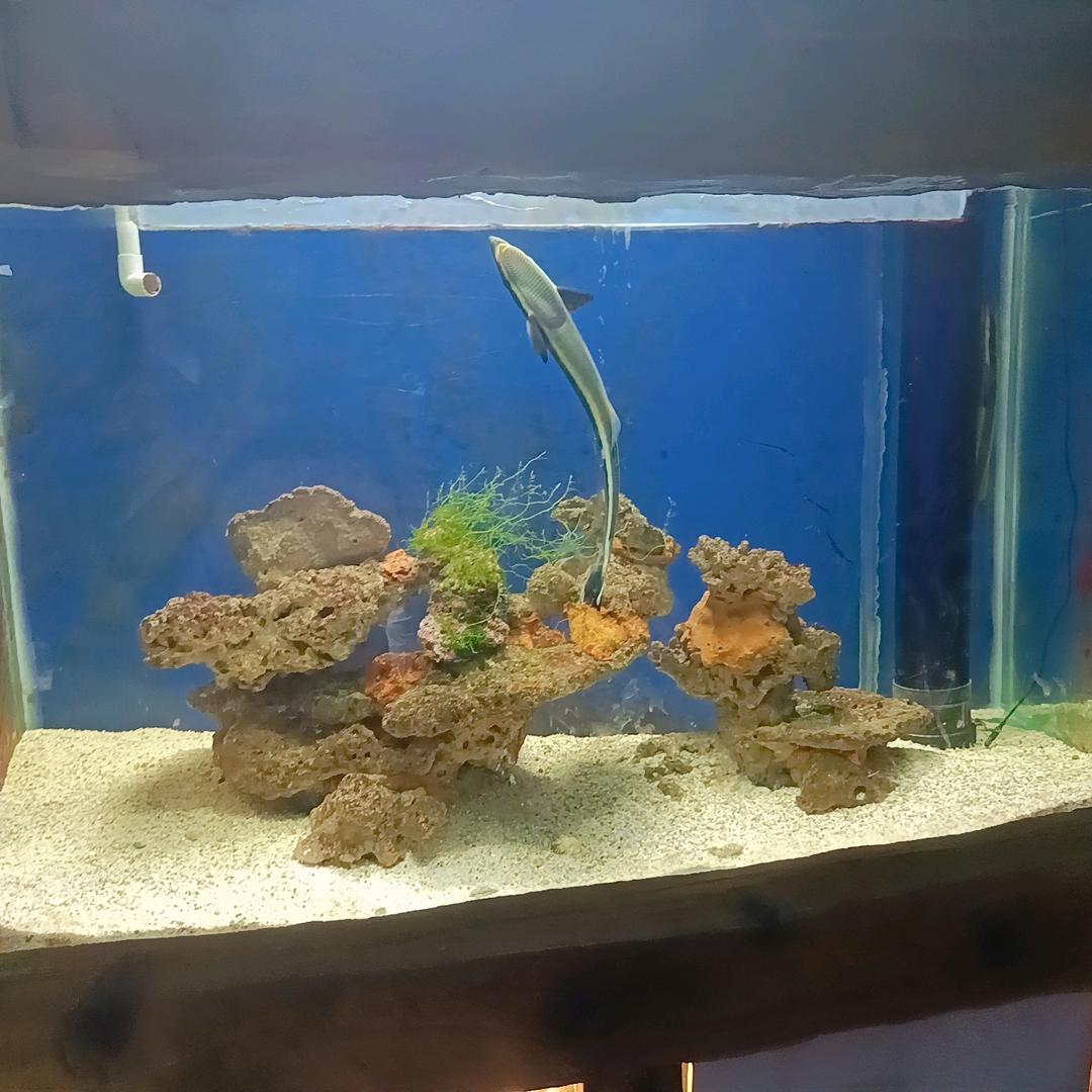 女人不要太懂事。