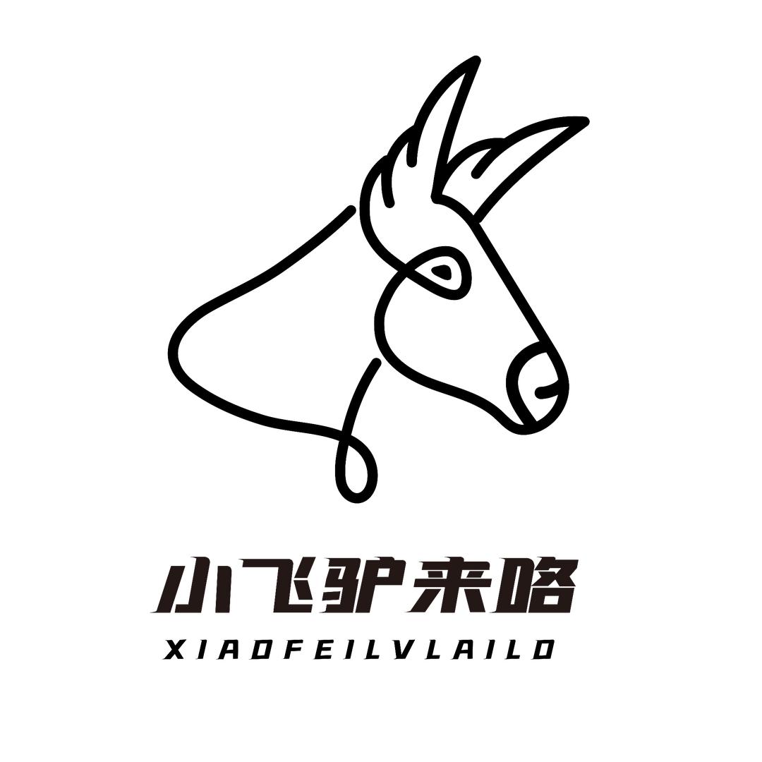 小飞驴来咯