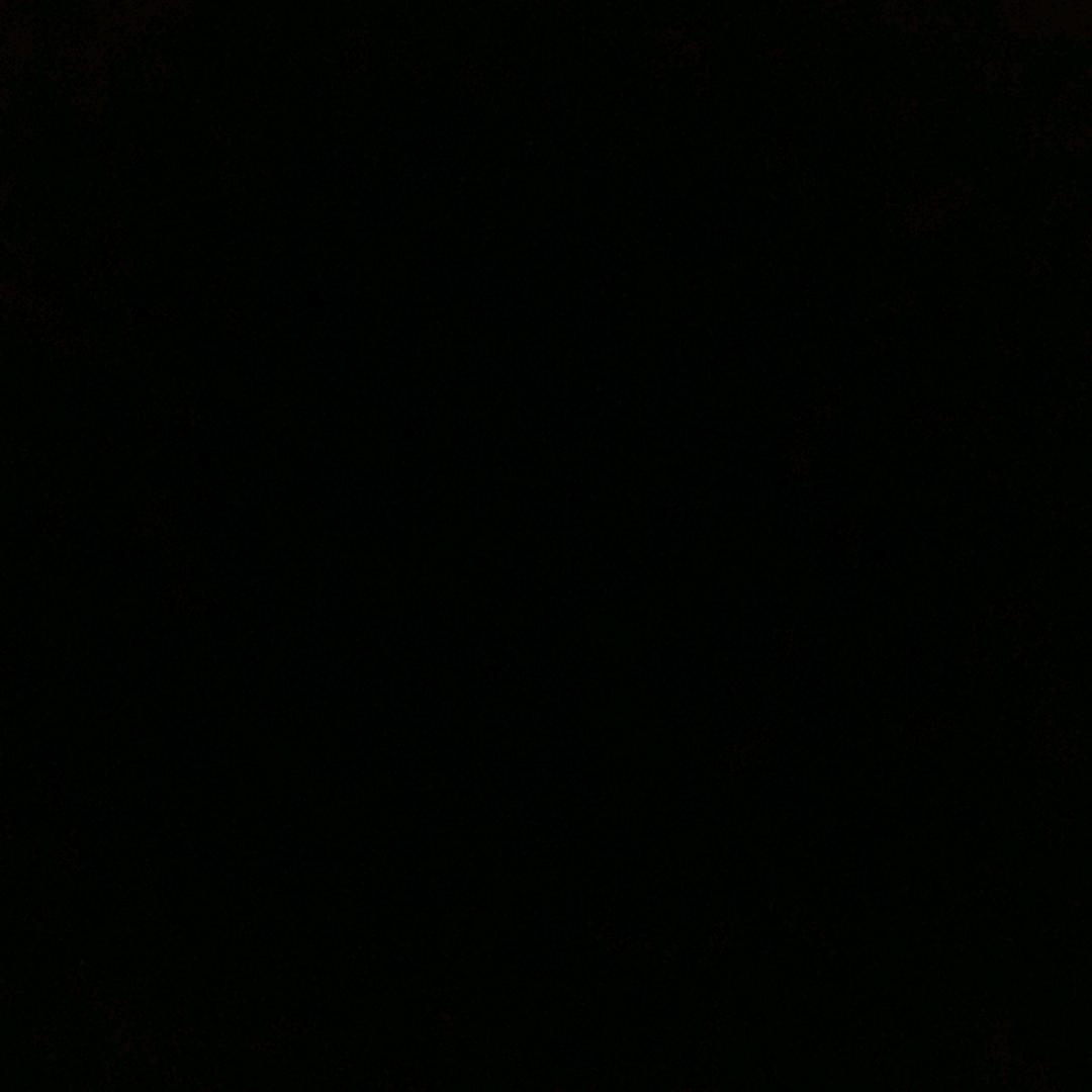 辞