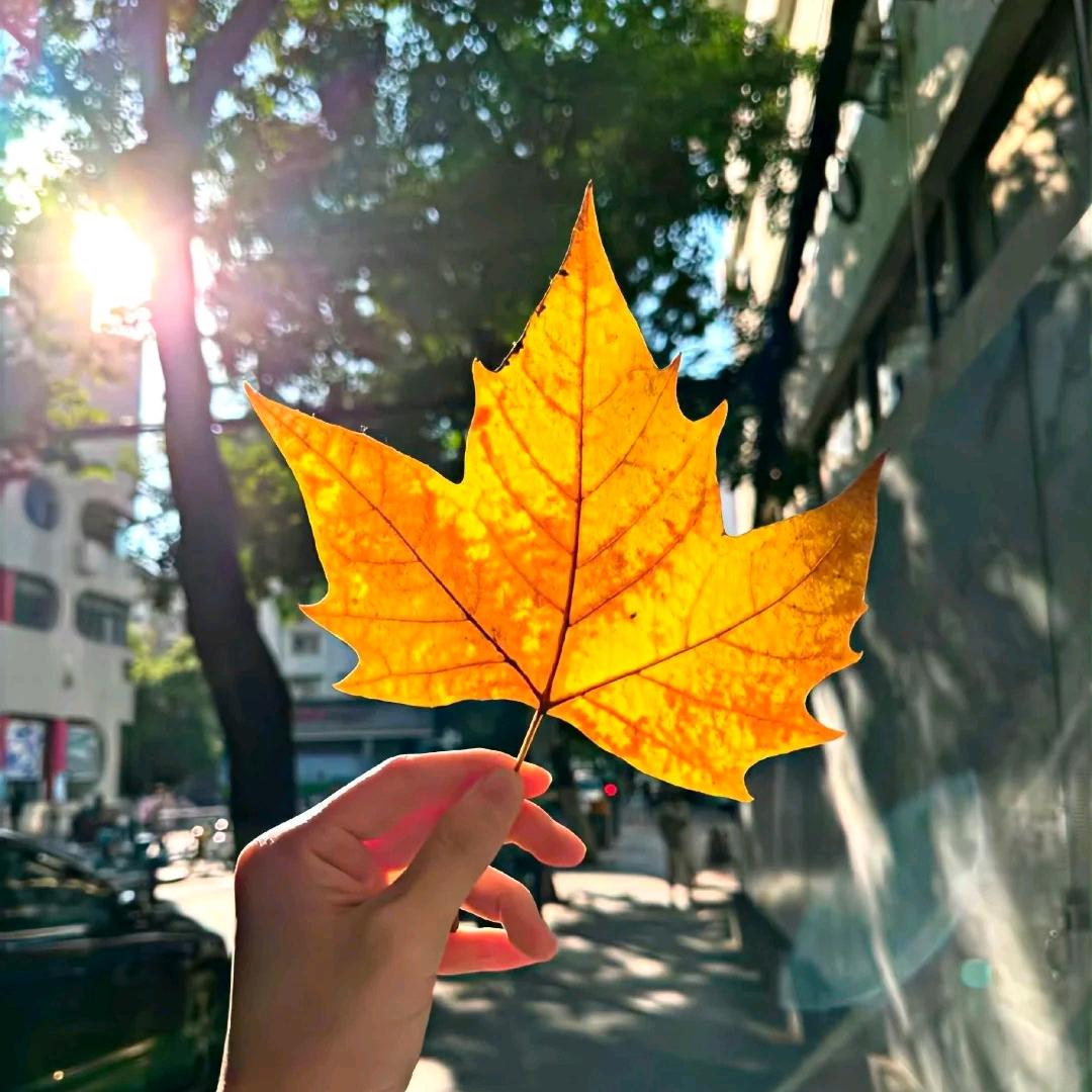 初🍀心《拒绝私聊》