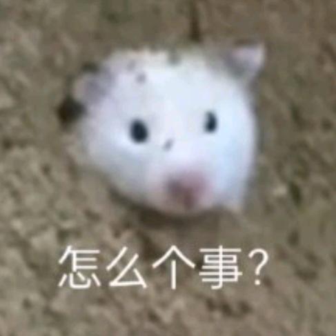 ————