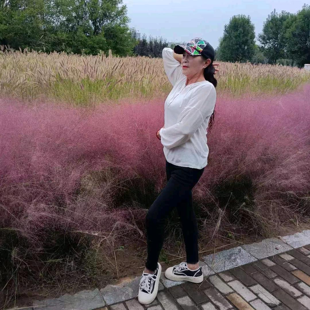 姐就是这个范爱风势