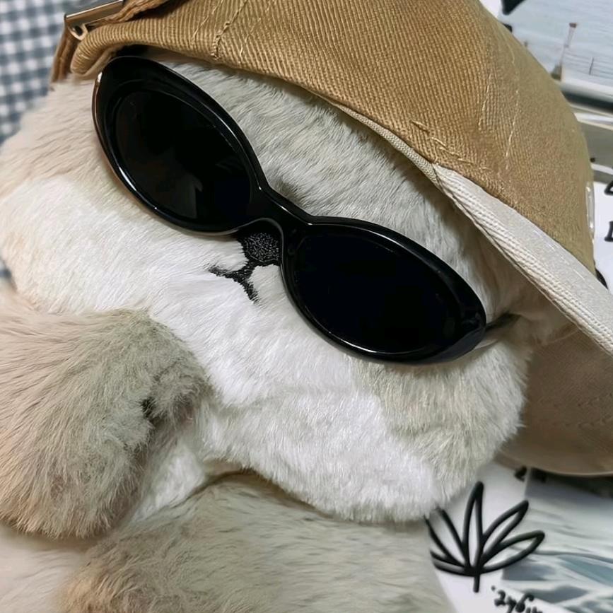 许个愿吧