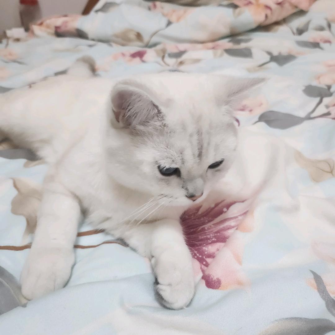 心伤了