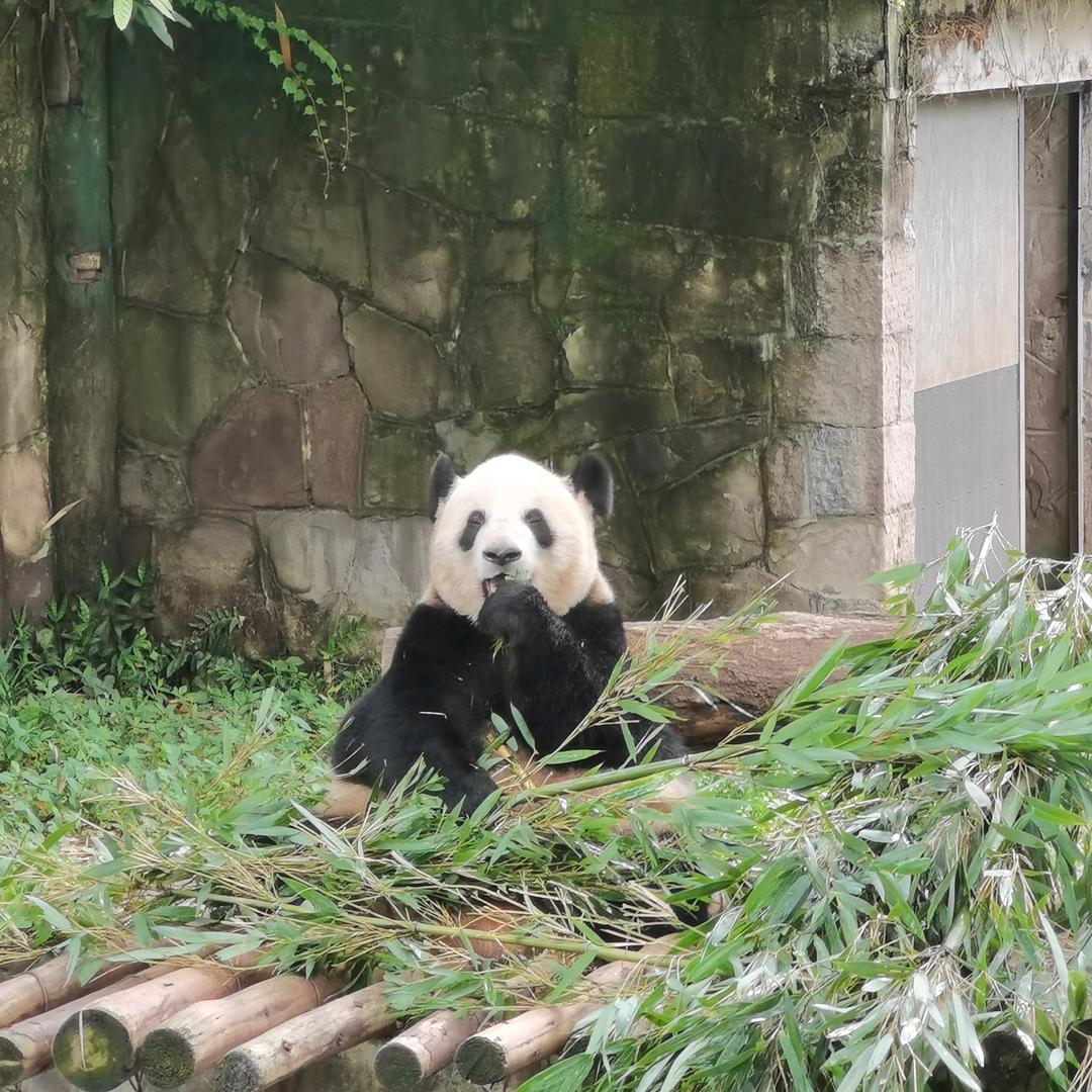 山水一程