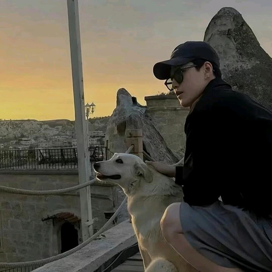 酷阿文😎《万马奔腾》