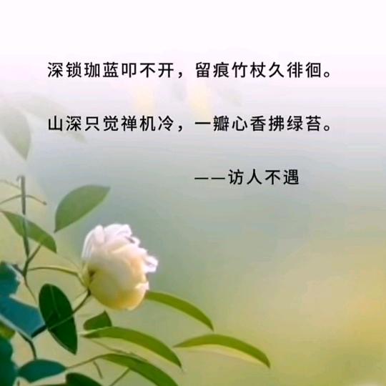 麗~励志🇨🇳蛋糕、鲜花 连锁店