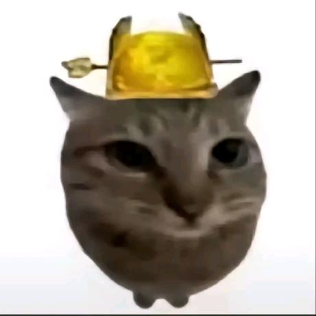弘辰