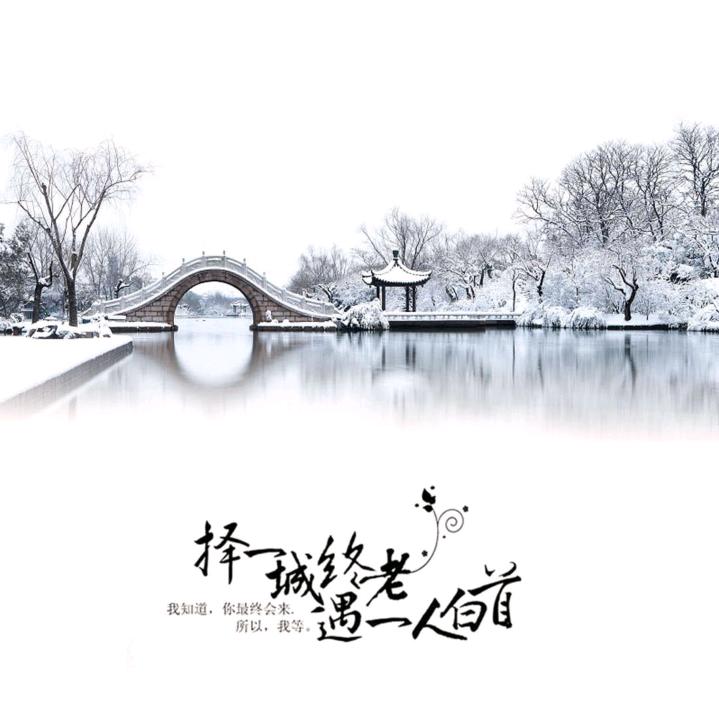 小布☞的花花草草