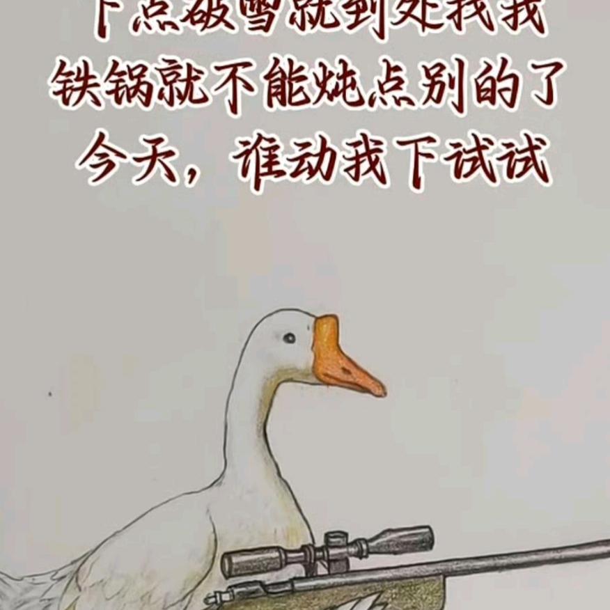 baby～简单爱杠精