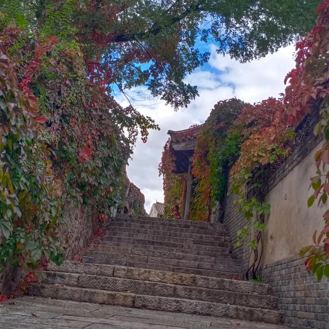 旅游小帮手，朱哥