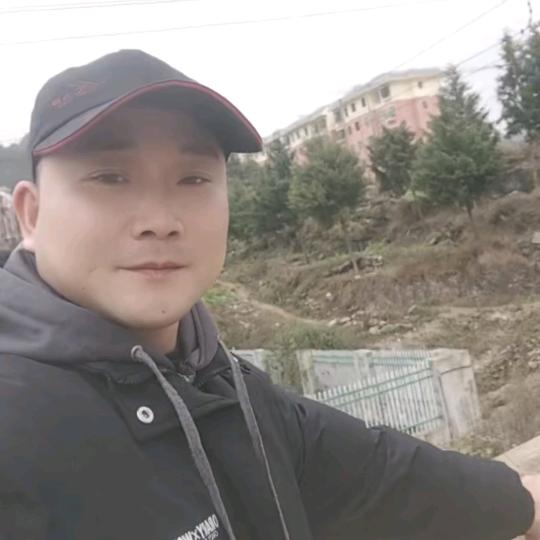 洪哥
