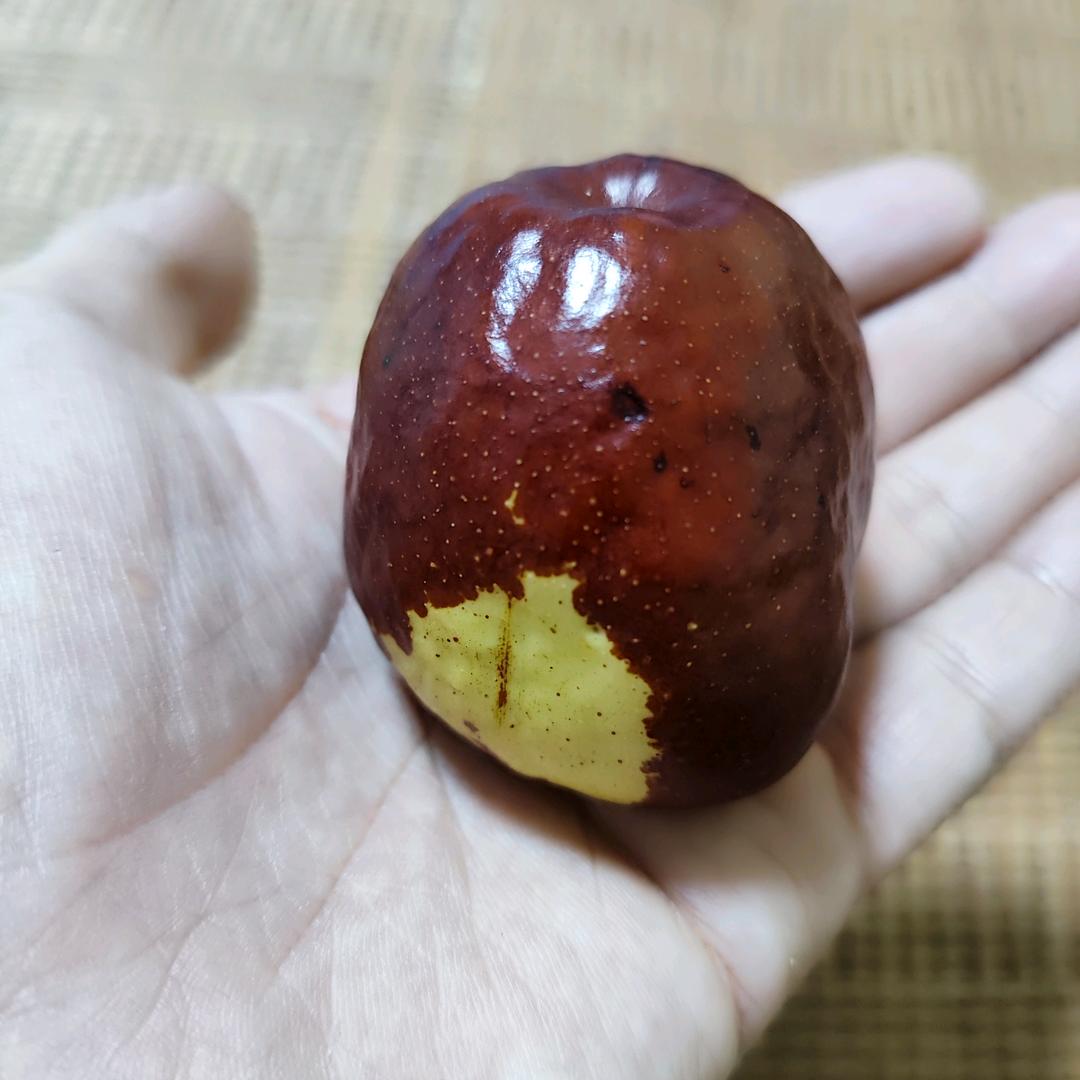 静以修身