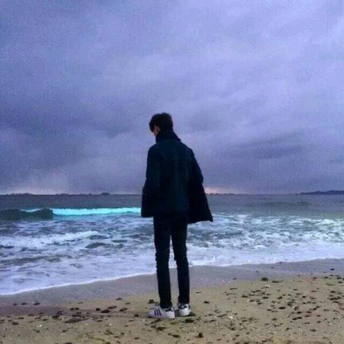 思念的你