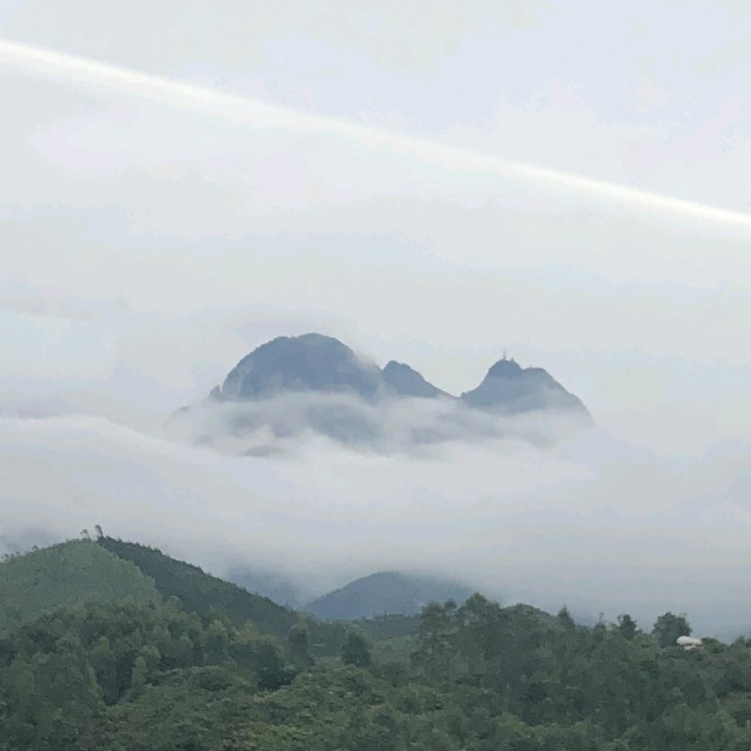 九思