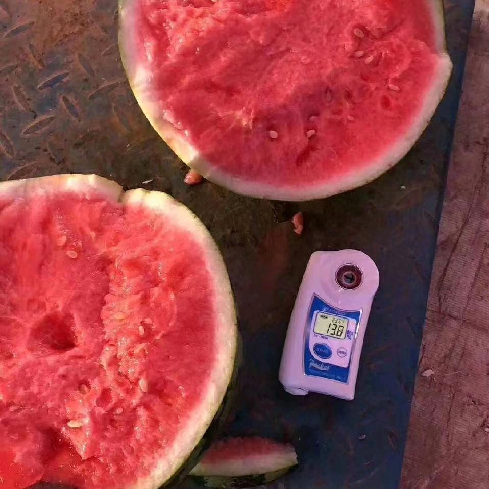 李猛专注西瓜🍉葡萄🍇代办团队
