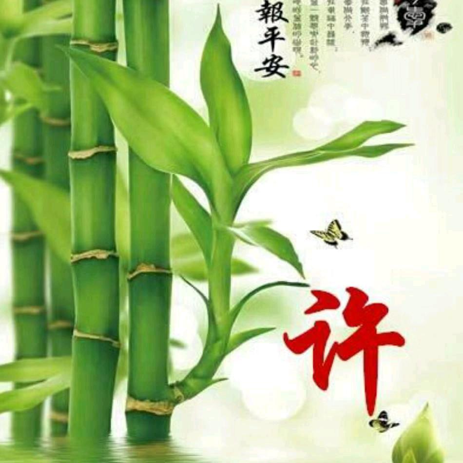 许哥