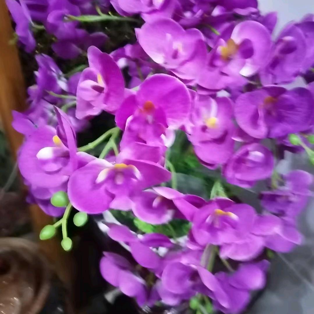 用户9140384300418