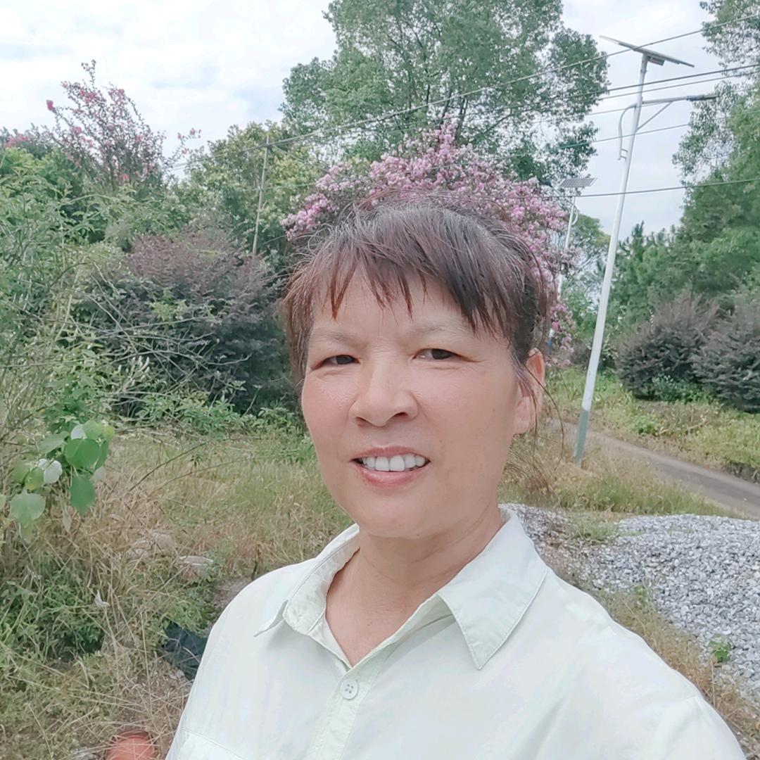 农村叶姐（下午2点20分开播）