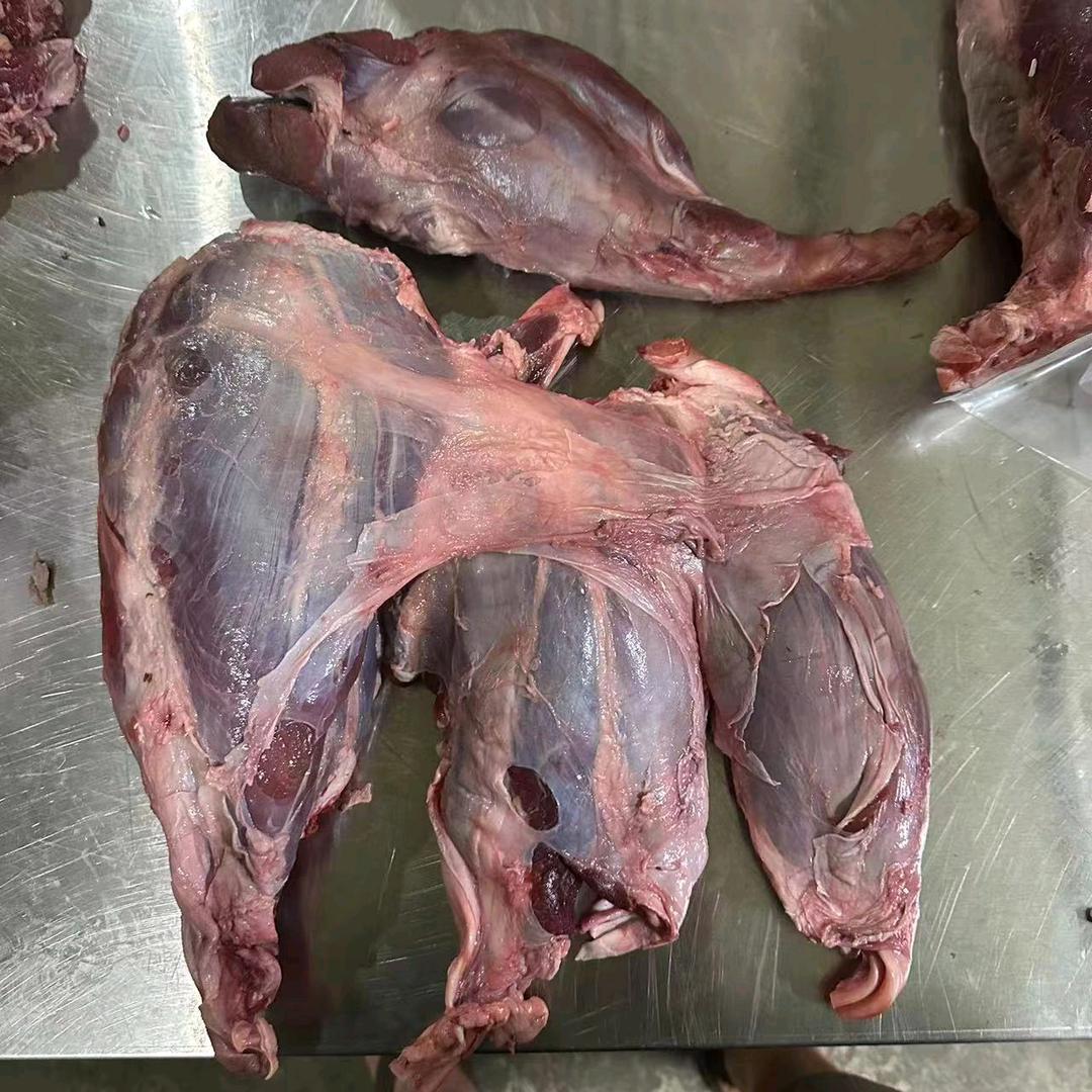 牛肉全国发