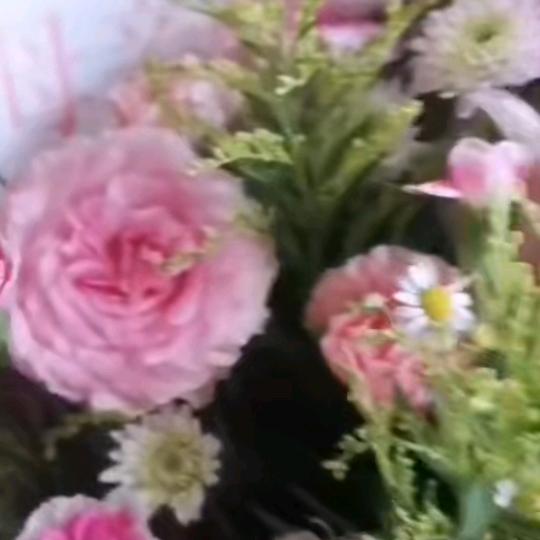 遇见你是我今生的幸福🌸🌸🌸🌸🌸