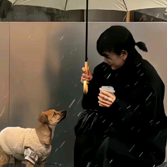 @云南，，小妮@