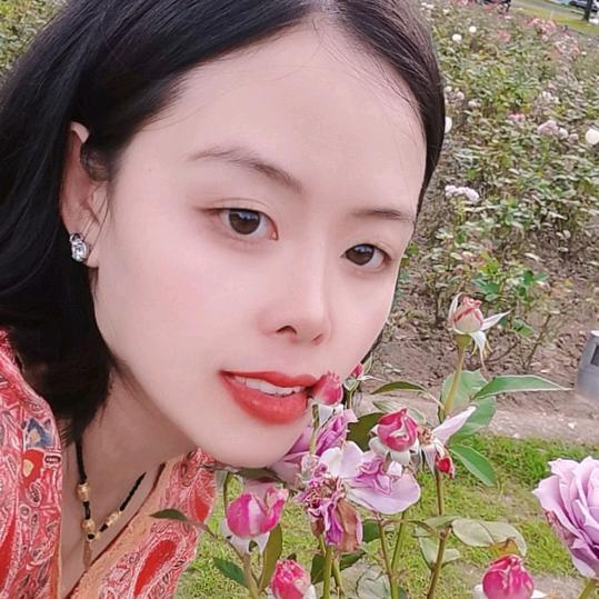 🌻🍁曼珠沙华