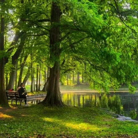 哥已生锈又发煤