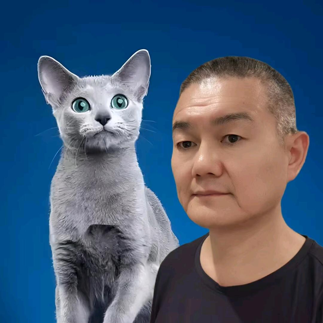 云鹰