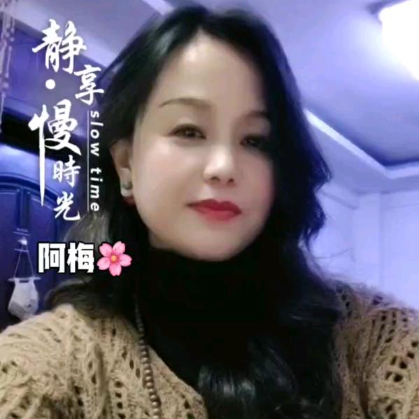 一枝梅🌺
