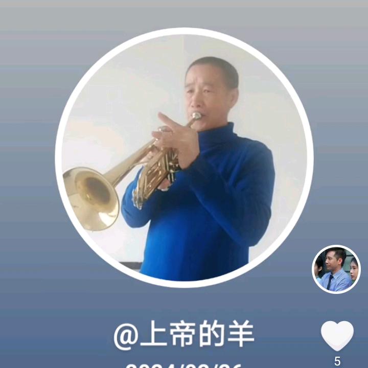 羊群