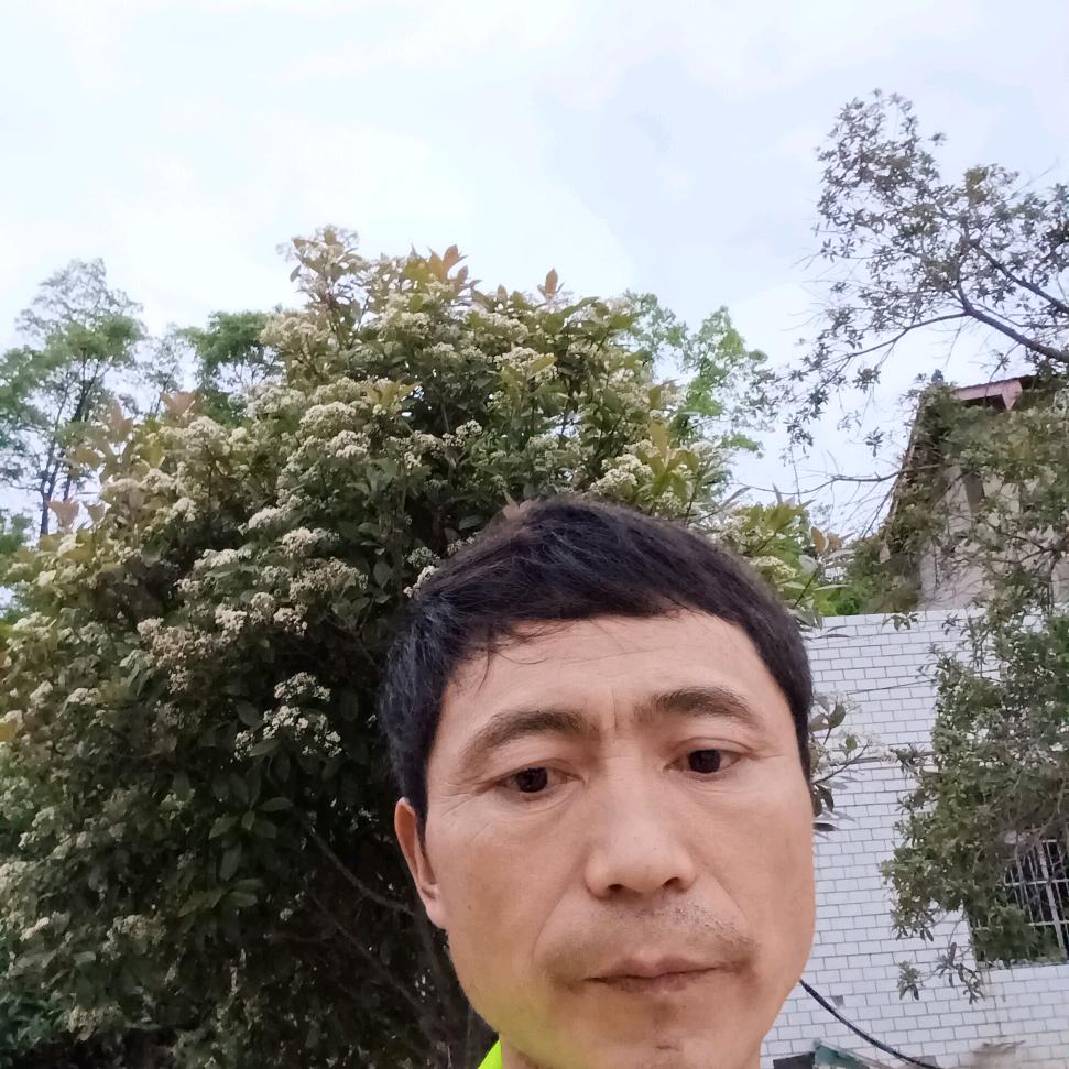 情为何物〈王哥〉