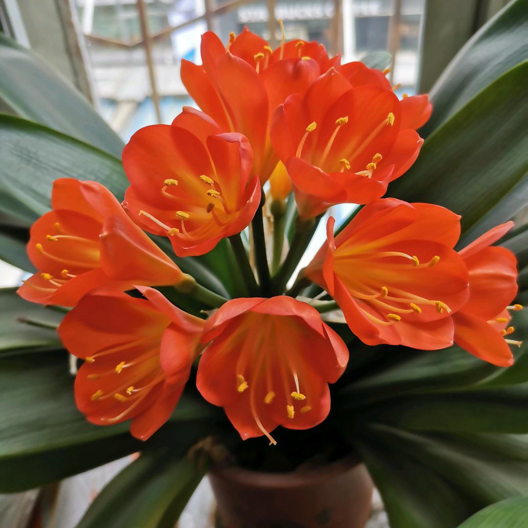 鱼悄悄的给你说.…