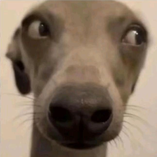 牛埠