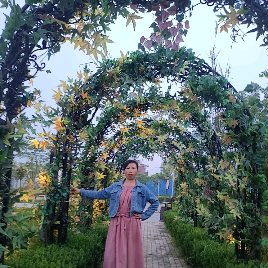 仙鹤yyy