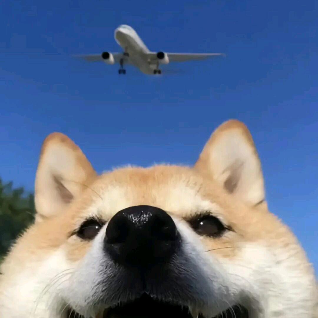 杨乐多