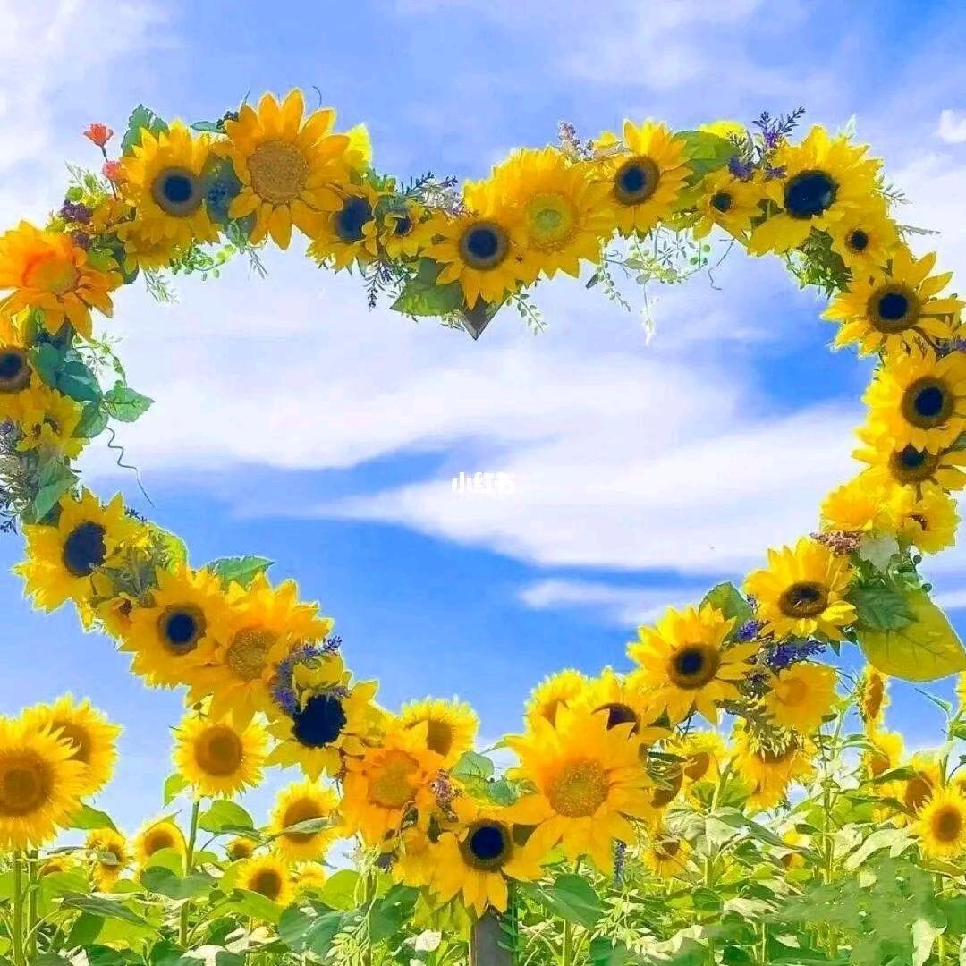 一路芬芳