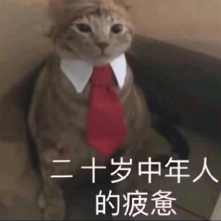 日记簿