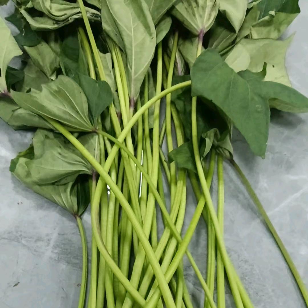 红薯杆子加工，微菜种植