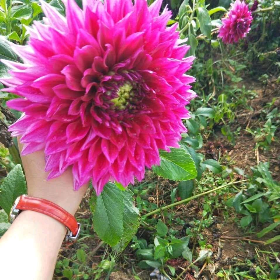 ࿐封心ღ᭄ꦿ锁艾💞