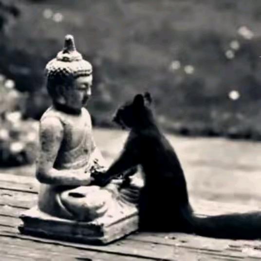 𝓑𝓮𝓼𝓽𝓸𝔀💥