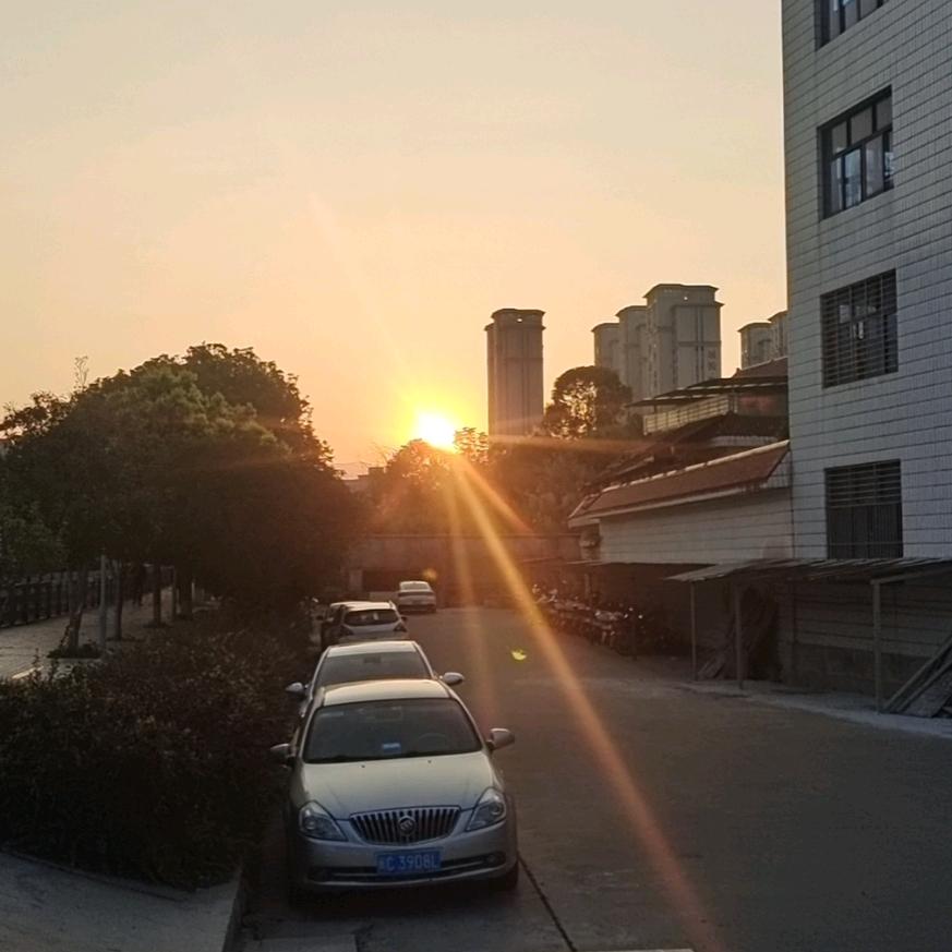 忘忧君
