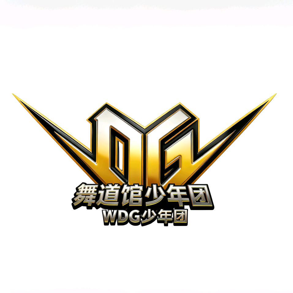 舞道馆/精英街舞 少年团🇨🇳
