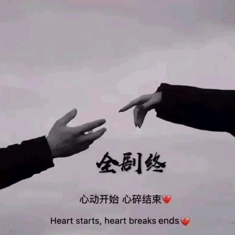 任回忆熬成过往