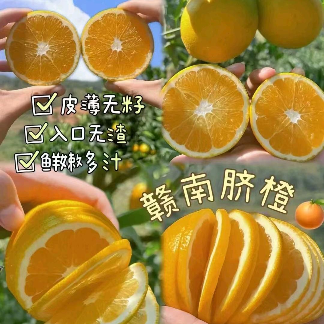 甜鲜橙园