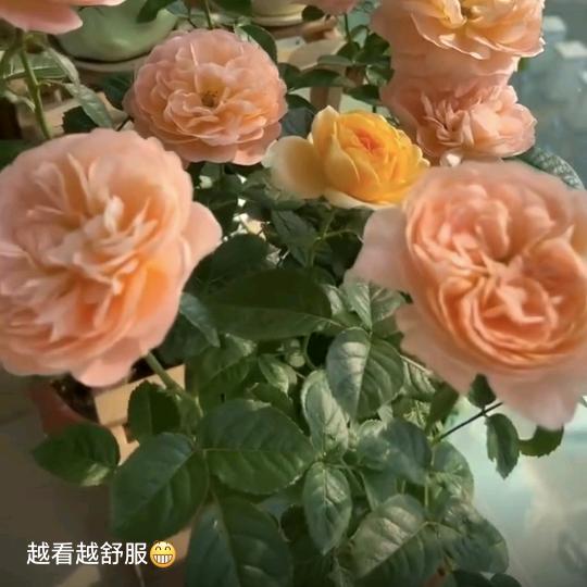 🌈中国加油