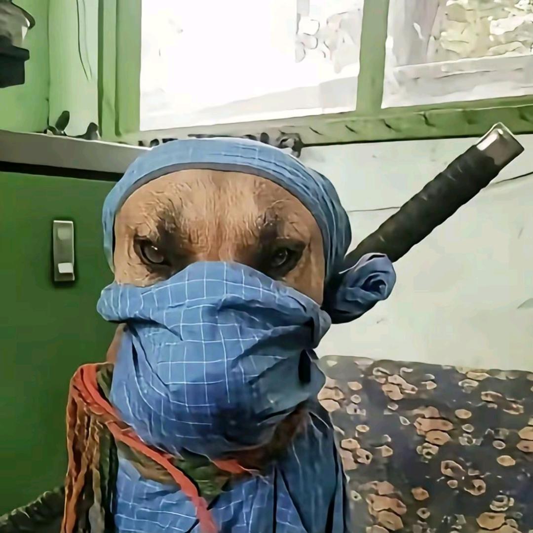 无名小卒