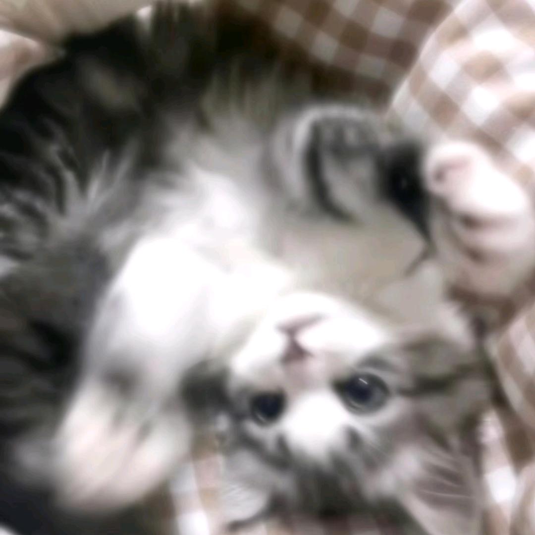 落落